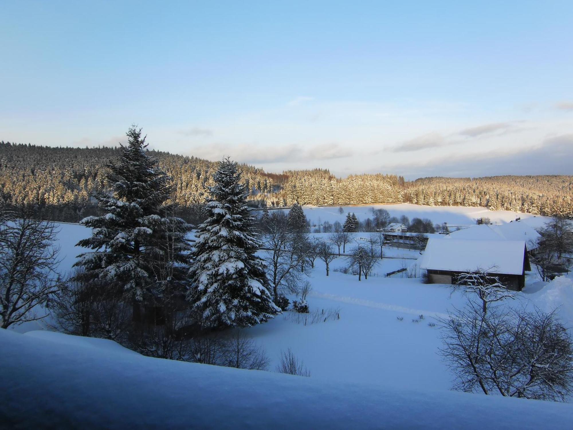 Landhotel Bartlehof Schluchsee Exteriör bild