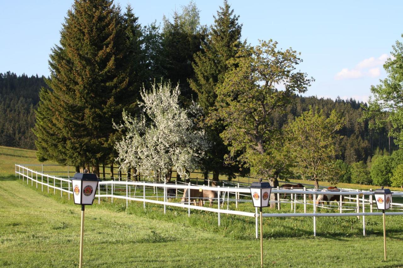 Landhotel Bartlehof Schluchsee Rum bild